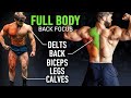 The Best Science-Based Full Body Workout: BACK Focused (Science Applied Ep 3)