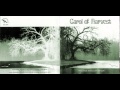 Carol Of Harvest - Put on your nightcap 