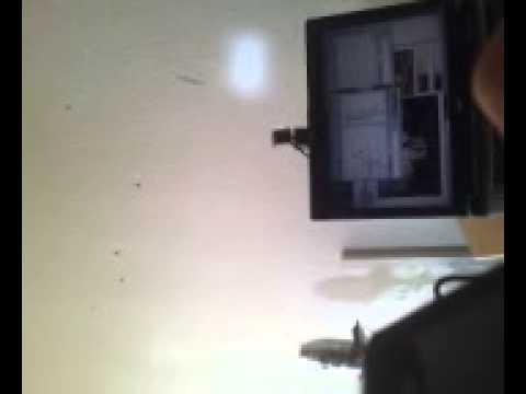 tel call fighting iranian guys