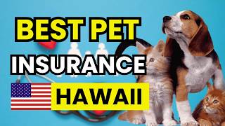 💸 TOP 3 Best Pet Insurance Providers in Hawaii (2026)