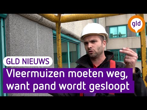 GLD Nieuws 18 augustus 2021