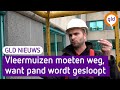 GLD Nieuws 18 augustus 2021