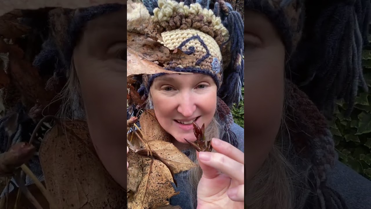 It’s windy here in Pacific Northwest and treasures are falling from the trees