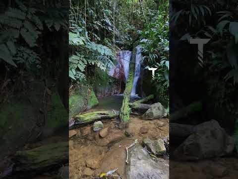 Salto el SantuarioVereda Alto de las Flores, Cuenca secundaria del Río Tucuyy