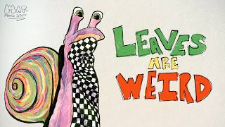 Leaves Are Weird!