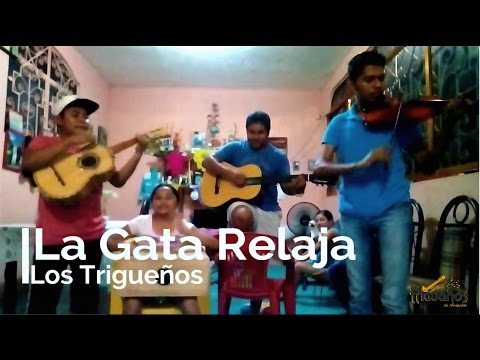 La Gata Relaja - Los Trigueños de Acapulco