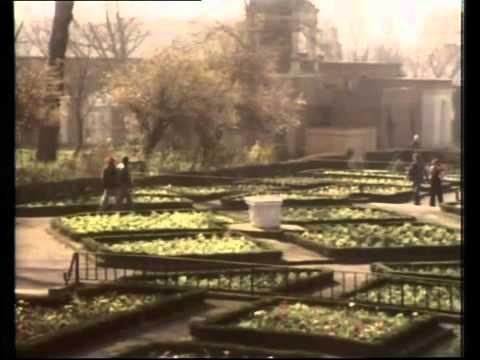 Video thumbnail for Light from Your Window