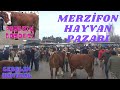 AMASYA/MERZİFON HAYVAN PAZARI ALIM-SATIM/2021 YILININ SON PAZARI/BU PAZAR ÇOK HAREKETLİ/ SICAK PARA