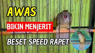 Download lagu #028🔴 MASTERAN KATEM NGERET MENJERIT KASAR!! KAPAS TEMBAK FULL TEMBAKAN KASAR MEWAH ‼️ mp3