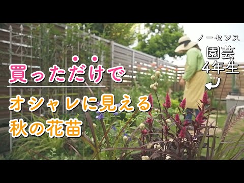 窓辺で最も人気のある10の顕花植物 庭の練習
