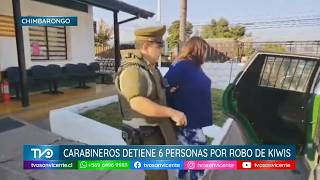 Carabineros detiene a seis sujetos por robo de kiwis en Chimbarongo