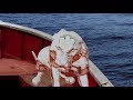 Life Of Pi CGI Making Of 2012 HD
