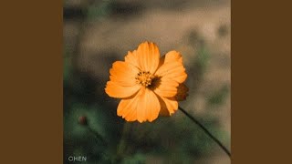 Download lagu Chen(첸) - Before the Petals Fall (꽃잎이 지기 전에) [Audio] mp3