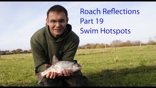 Roach Reflections Part 19 - Swim Hotspots