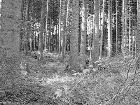 KVH ČSLA - průzkumníci