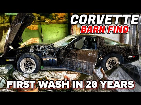 Thumbnail for First Wash in 25 Years ABANDONED Barn Find Corvette Disaster Detail! | Satisfying Restoration by Chevrolet, SEAT, video, Corvet, WiLL, Corvett, Car, vide, video i