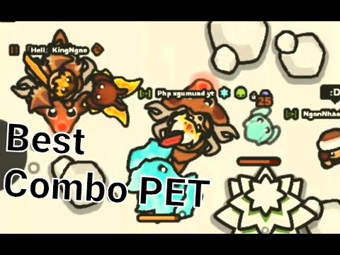 [Taming.io] Best combo pet reindeer + ice berb + black cat 🤘🤘in MOBILE xd