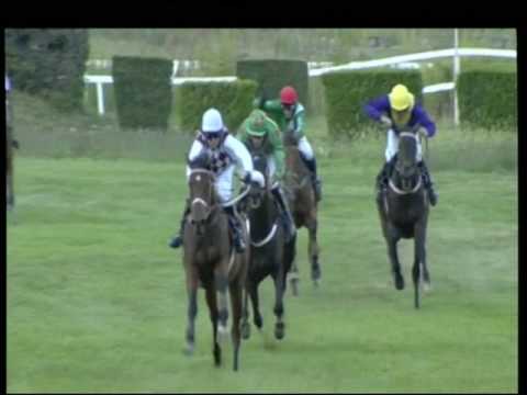 IPPODROMO DI MERANO-25.9.2016-GRAN PREMIO MERANO ALTO ADIGE / GROSSER PREIS MERAN SÜDTIROL