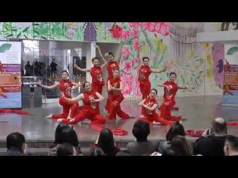 2020-01-26 Queens Museum (Ribbon Dance)