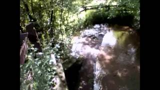 Monster Beaver Caught On Video !!!