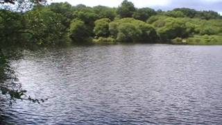 preview picture of video 'Kerne Uhel Reservoir, Côtes-d'Armor, Brittany, France 8th July 2009'