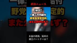 【解説】一律2万円給付は実現できるの？　#shorts #自民党　#石破茂