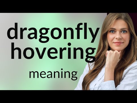 Understanding "Dragonfly Hovering": A Deep Dive into Imagery and Motion