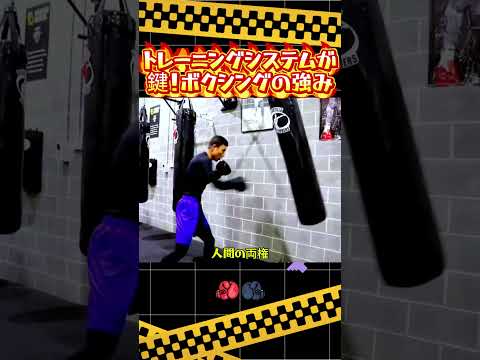 トレーニングシステムが鍵！ボクシングの強み#ボクシング #格闘技 #MMA #ボクサー#格闘技雑学 #フットワーク #コンビネーションパンチ