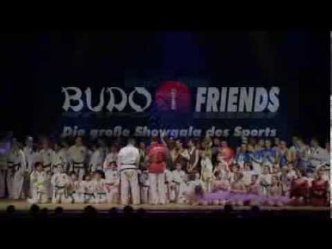 Budo meets Friends 2013 - 16 Finale Lasershow und Danksagung