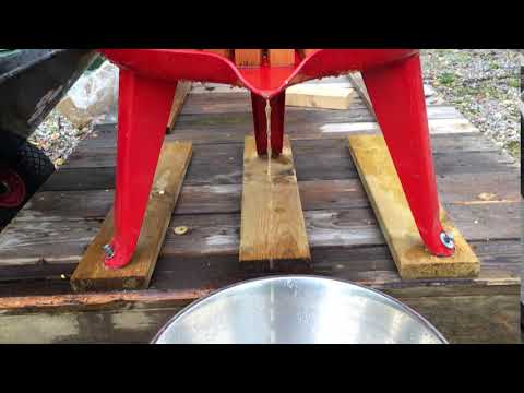 Färsk äppelmust 2017