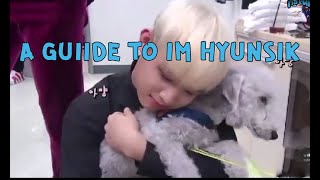 UNHELPFUL GUIDE TO BTOB&quot;S IM HYUNSIK: all the things you don&#39;t need to know