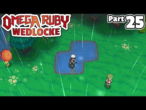 Pokémon Omega Ruby Wedlocke, Part 25: Route 120 Is A Big Root!