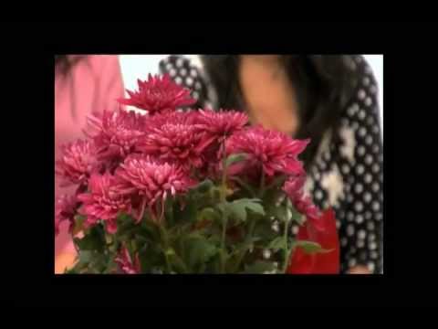 O Filme dos Espíritos - Qual é a maior caridade para o espiritismo?