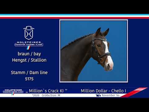 4. Holsteiner Winter-Chance 2022 | Nr. 112 v. Million Dollar - Chello I