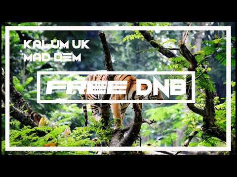 Kalum - Mad Dem {Free Dnb Download}