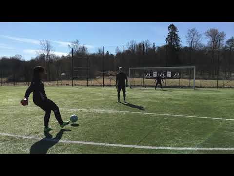 Komboövning - Fall och anfall