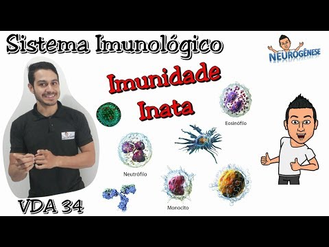 Sistema Imunológico - Imunidade Inata - Vídeo Aula 34