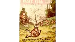 Wait Till the Moon is Full by Margaret Wise Brown and Garth Williams