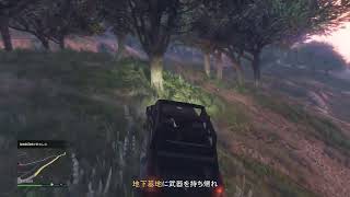 [GTA5]暇潰し配信。