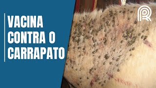 Miniatura do vídeo