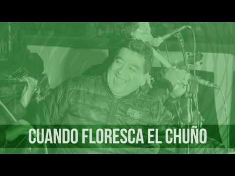 Pueblo Andino Cuando Floresca El Chuño