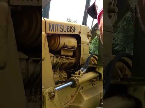 Will it start? Abandon and Dozer with Tree Growing