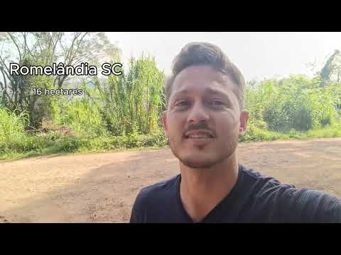 Sítio a venda em Santa Catarina 16 hectares em Romelândia
