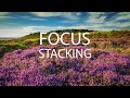 FOCUS STACKING MADE SIMPLE - How and when to use it