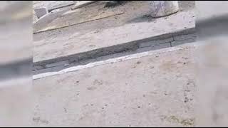 Download lagu Story wa sewates kerjo mp3