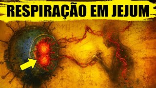 A técnica de respiração de 7 minutos do MIT ativa a autofagia — sem jejum e sem dieta