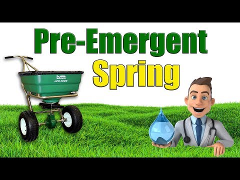 When to Put Down Spring Pre Emergent
