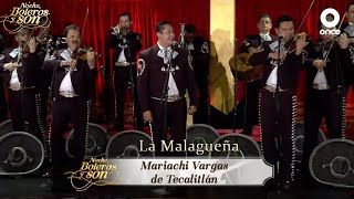 La Malagueña Lyrics English Translation