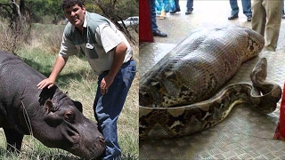 6 Pets Animals Who ATE Their Owners