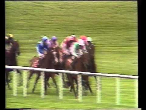 1990 Budweiser Irish Derby